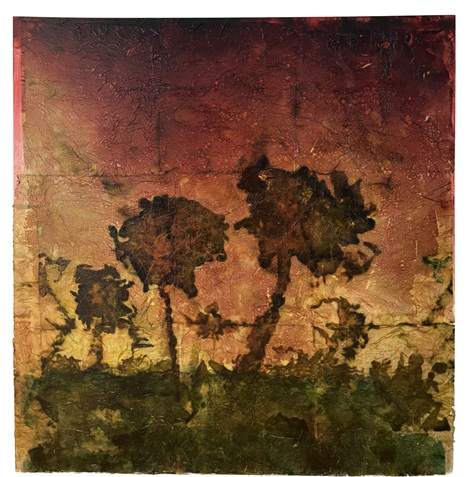 Liseron — « Aurore », 74,5x71,5 cm
