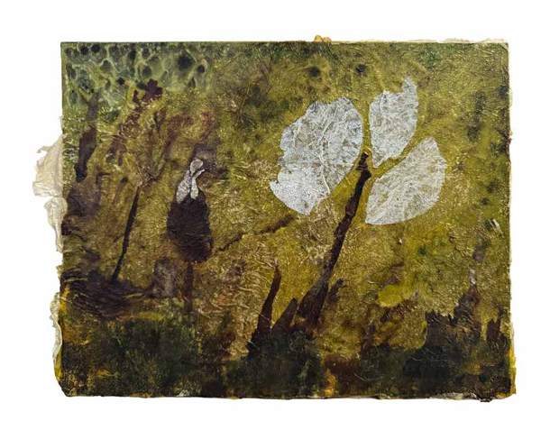 Liseron — « Blanches », 30x24 cm