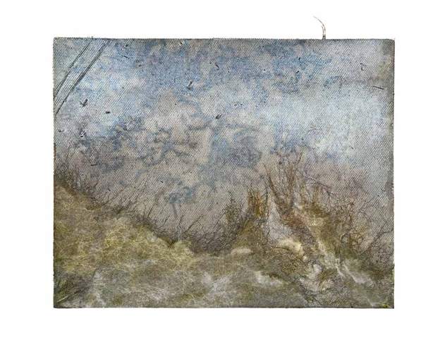 Liseron — « Brume dans le brouillard », 30x24 cm