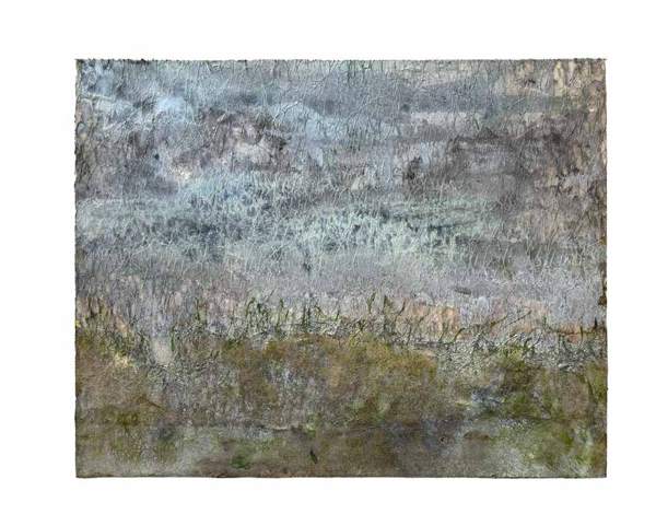 Liseron — « Brume du matin », 30x24 cm