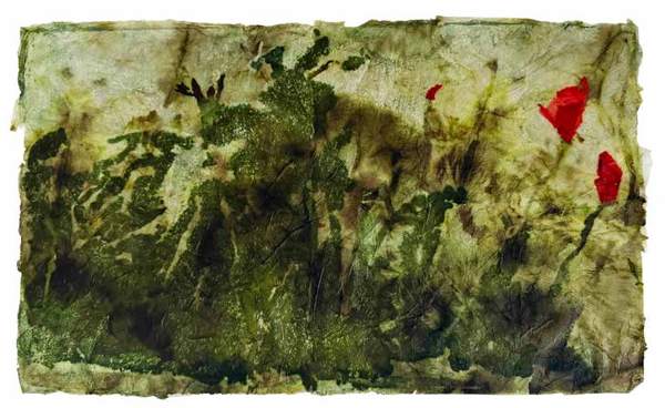 Liseron — « Coquelicots parfois un peu flous », 46x27 cm