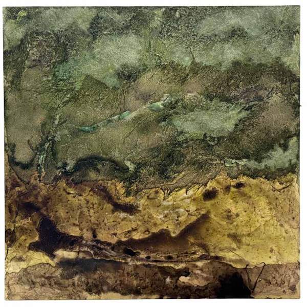 Liseron — « Tout est une question de point de vue », 50x50 cm