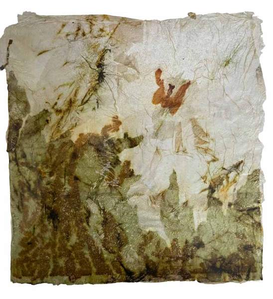 Liseron — « Le papillon et la chenille », 29x30,5 cm (vue 2)