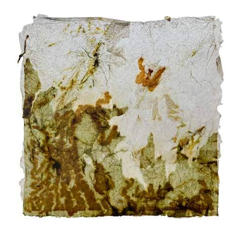 Liseron — « Le papillon et la chenille », 29x30,5 cm